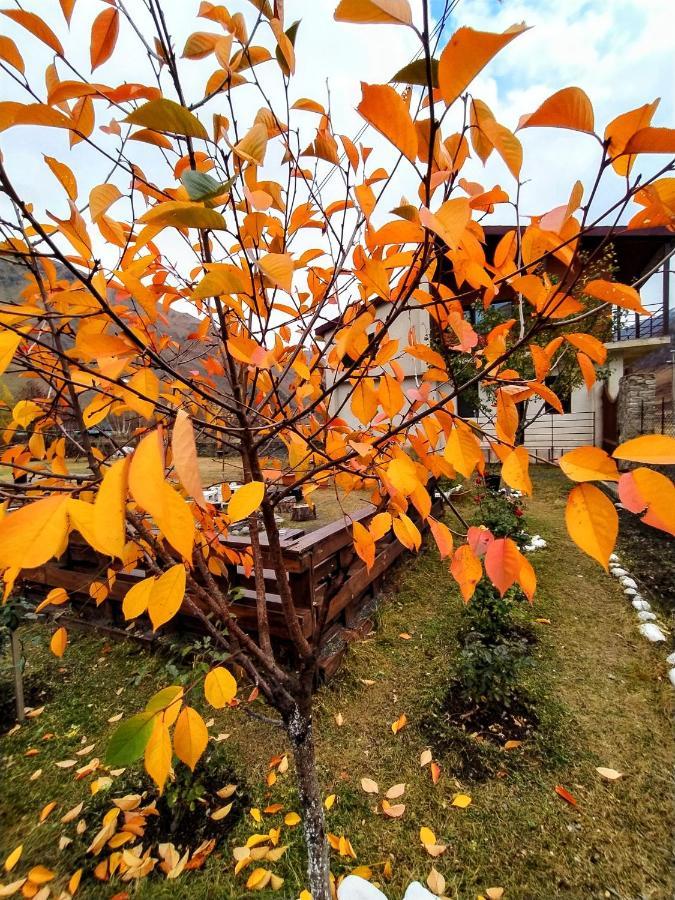 ---Allegria House--- Kazbegi Exterior foto