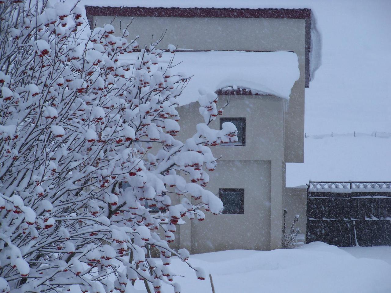 ---Allegria House--- Kazbegi Exterior foto